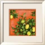 Citrons
