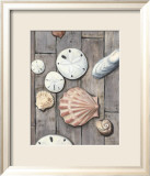 Seashore Treasure II