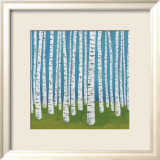Birch Grove