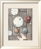 Seashore Treasure I