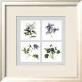 Les Fleurs Violettes