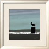 Dusky Sea IV