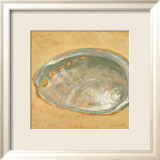 Shoreline Shells III
