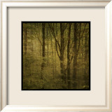 Fog in Mountain Trees No 2