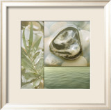 Zen Elements IV