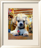 Mazel Dog