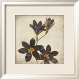 Purple Flower