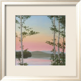 Cooper Sunset Birches
