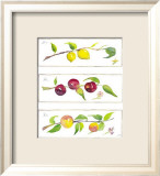 Summer Branches