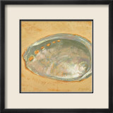 Shoreline Shells III