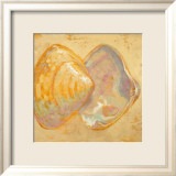 Shoreline Shells II