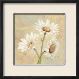 Beautiful Daisies II