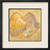 Shoreline Shells II