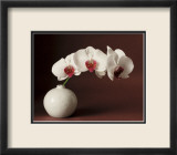 Orchid and white vase