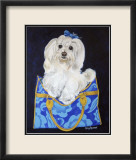 Maltese Clutch