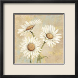 Beautiful Daisies I