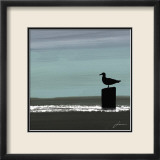Dusky Sea IV