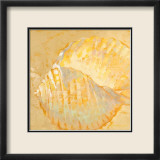 Shoreline Shells IV