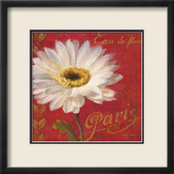 Paris Blossom I