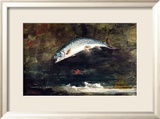 Jumping Trout