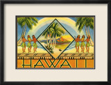 Hawaii Brochure  1943
