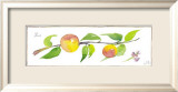 Peach Branch