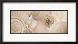 Shells I