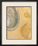 Shoreline Shells V