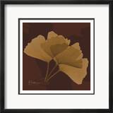 Color Me Ginko Brown I