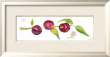 Plum Branch