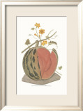 Melon