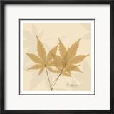 Color Me Maple Natural I
