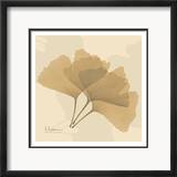 Color Me Ginko Natural I