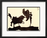 Toros y Toreros