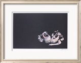 Ballet Slippers