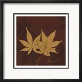 Color Me Maple Brown I