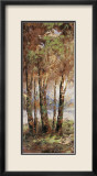 River Birch II