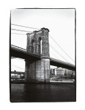 Bridge  c1986