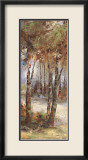River Birch I