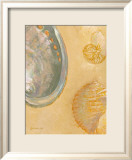 Shoreline Shells V