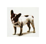 Dog  c1986