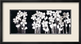 White Flowers on Black I