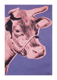Cow  c1976 (pink and purple)