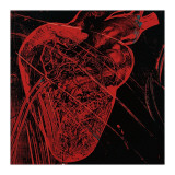 Human Heart  c1979 (Red with Veins)