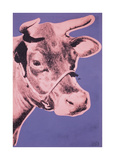 Cow  c1976 (pink and purple)