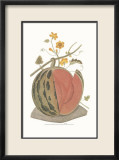 Melon