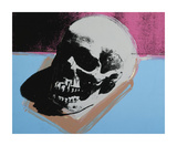 Skull  c1976 (White on Blue and Pink)