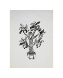 Money Tree  c1957