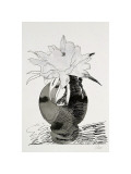 Flowers  c1974 (White Flower in Black Vase)