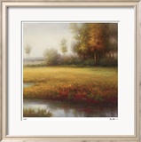 Meadow Light